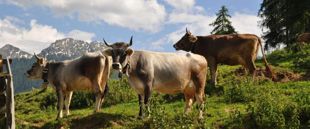 Ferienwohnung Maiernhof Bauernhof Ultental San Pancrazio Esterno foto
